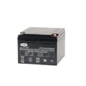 Battery VRLA 24 Ah 12 V AGM