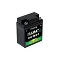 Battery FULBAT 6 Ah 50 A 6 V