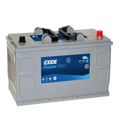 exide-ef1202.jpg